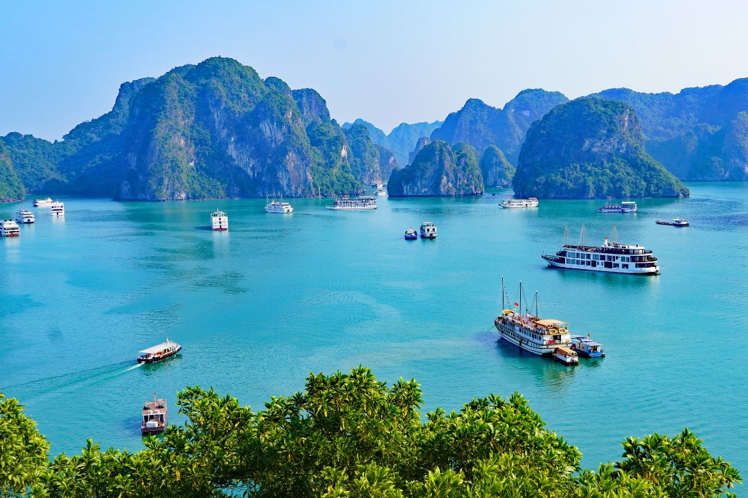 Vịnh Hạ Long di sản thiên nhiên thế giới